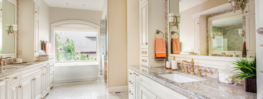 Master Bathroom Remodel